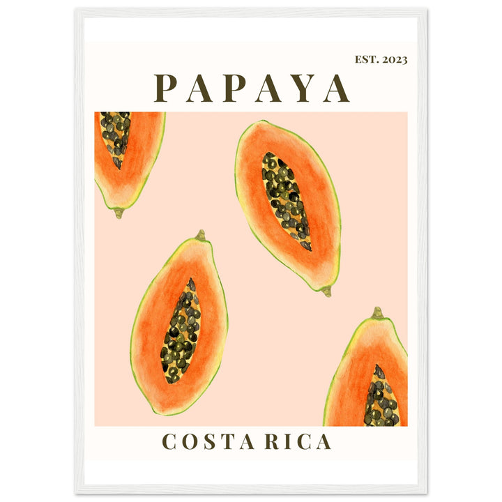 CUADRO PAPAYA COSTA RICA