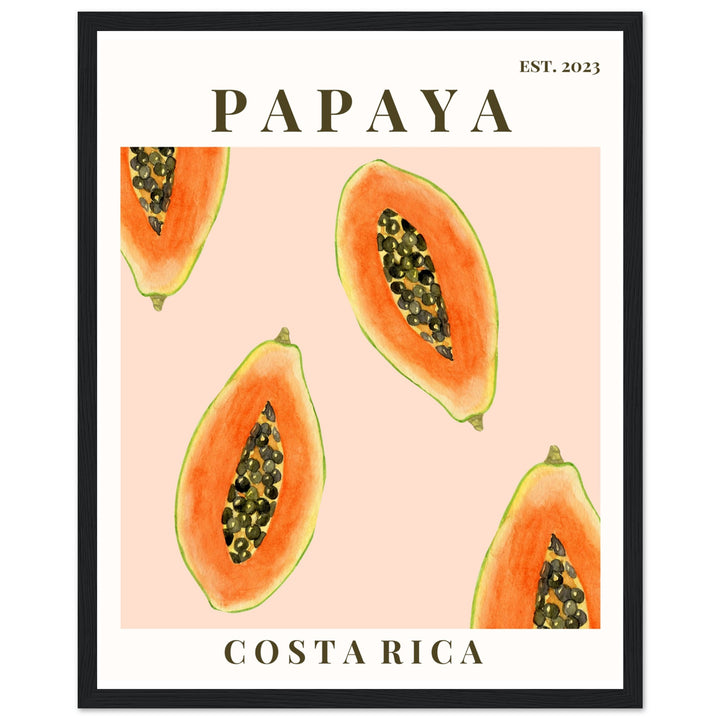 CUADRO PAPAYA COSTA RICA