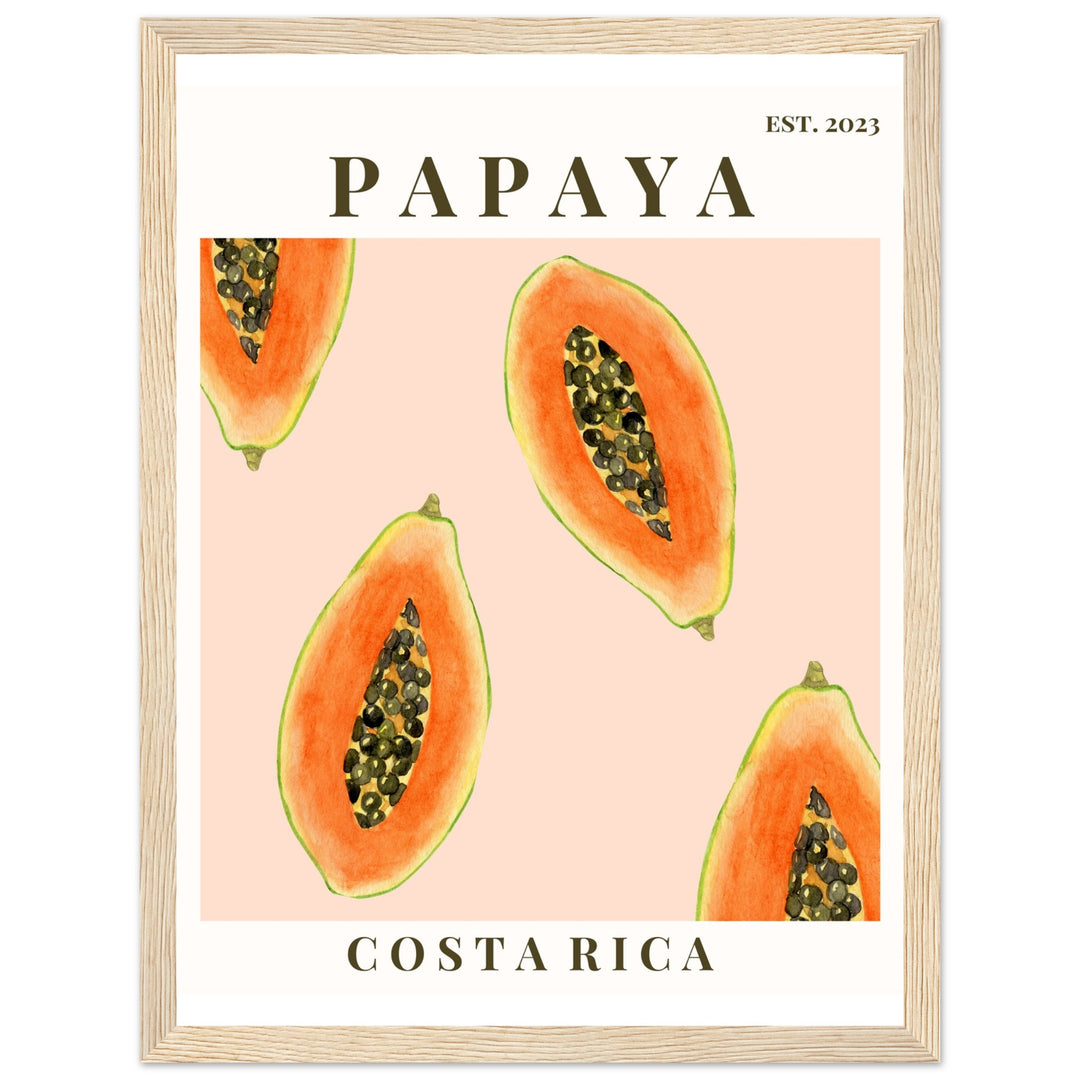 CUADRO PAPAYA COSTA RICA