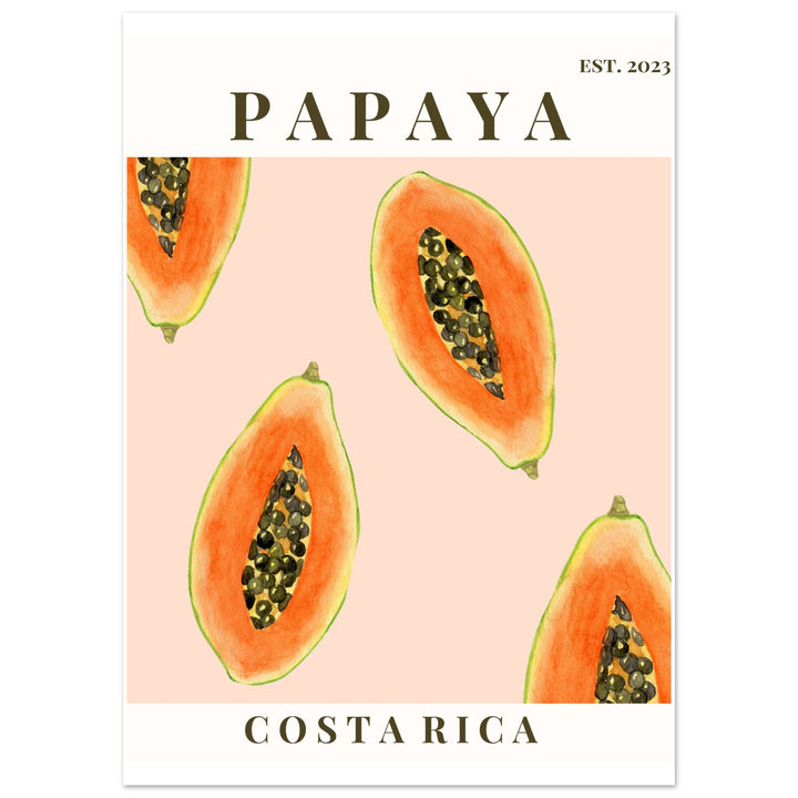 CUADRO PAPAYA COSTA RICA