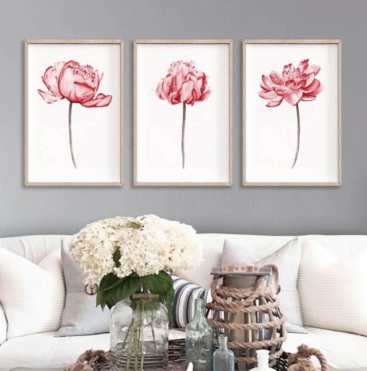 PEONIES I