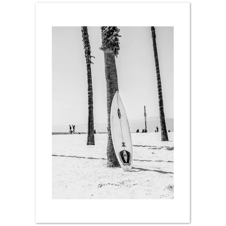 PALM SURF