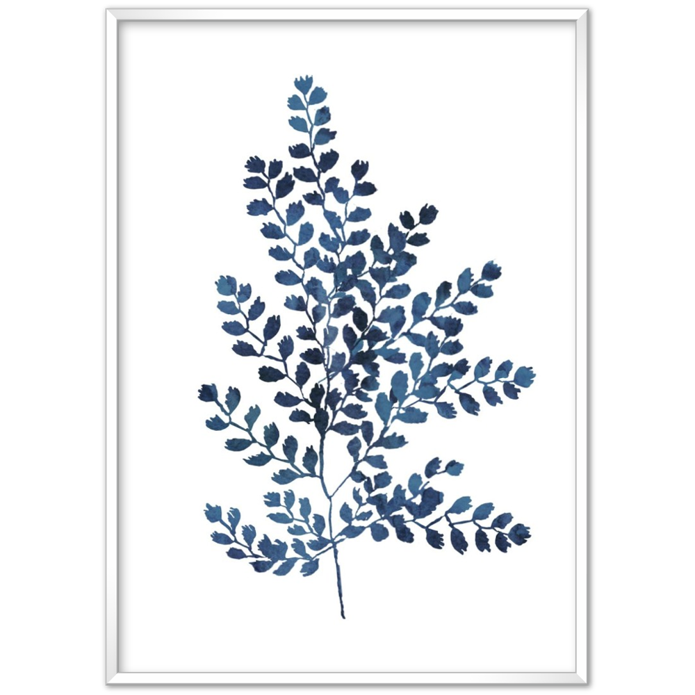 BLUE FERN II