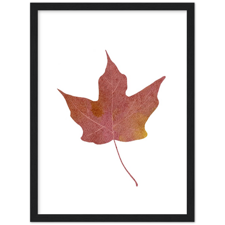 MAPLE LEAF