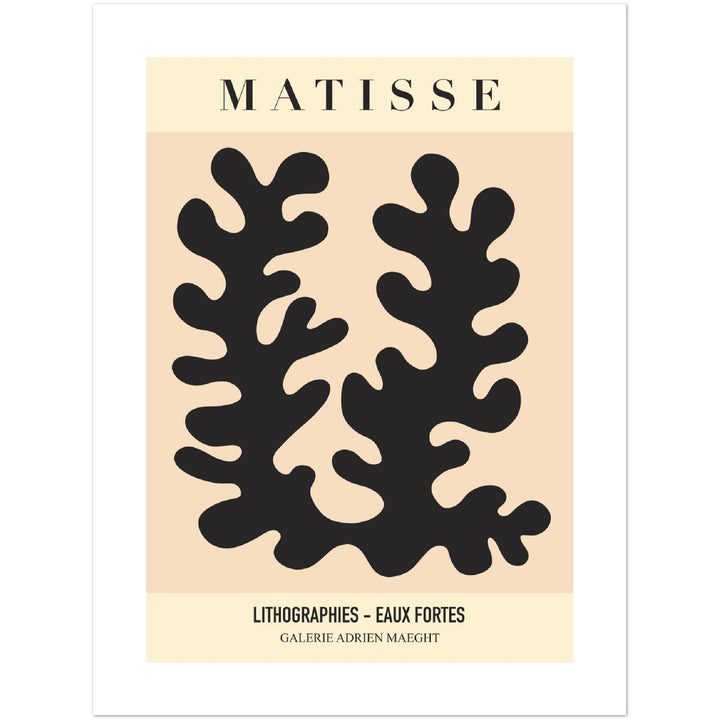 MATISSE LITHO