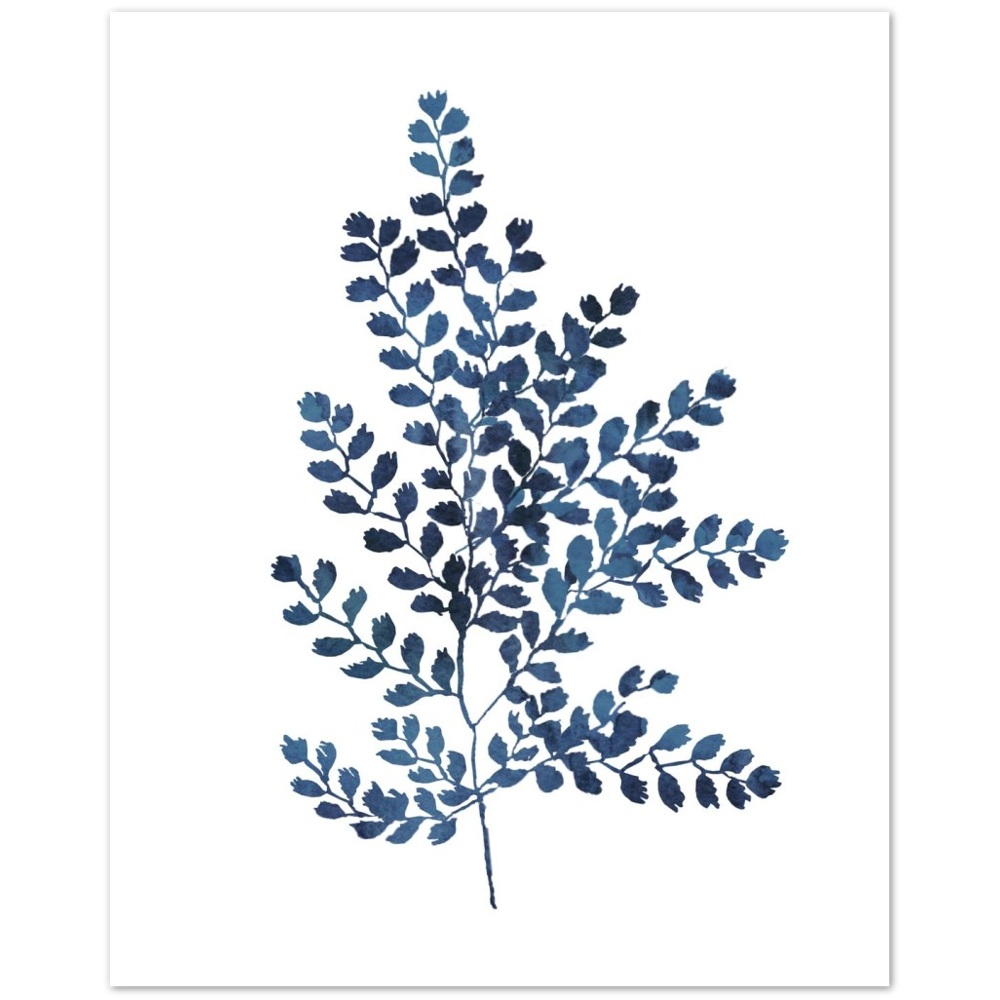 BLUE FERN II