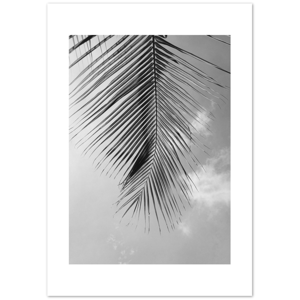 PALM CLOUD