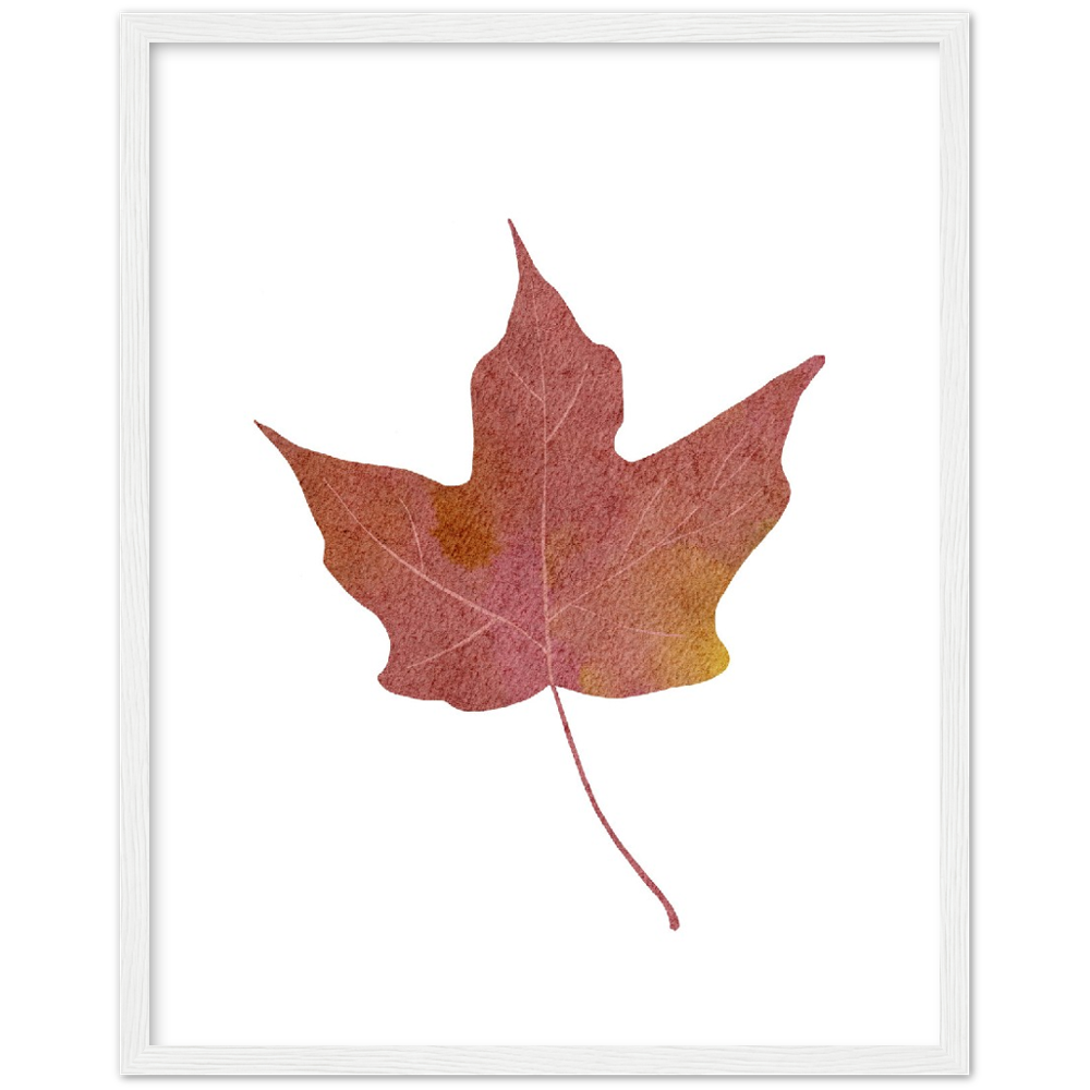 MAPLE LEAF