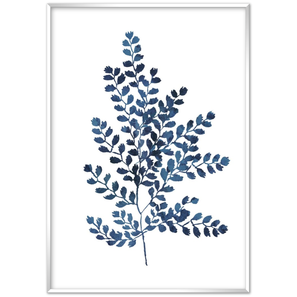 BLUE FERN II