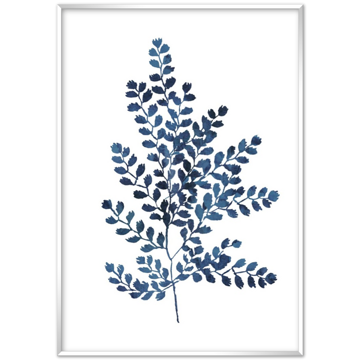 BLUE FERN II