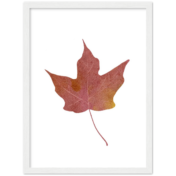 MAPLE LEAF