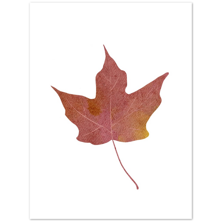 MAPLE LEAF