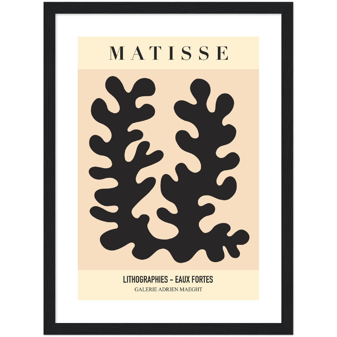 MATISSE LITHO