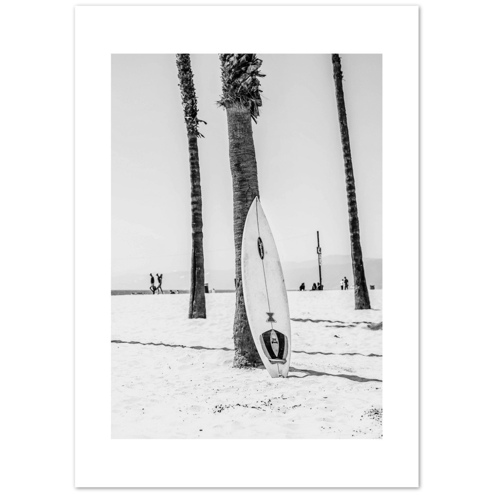 PALM SURF