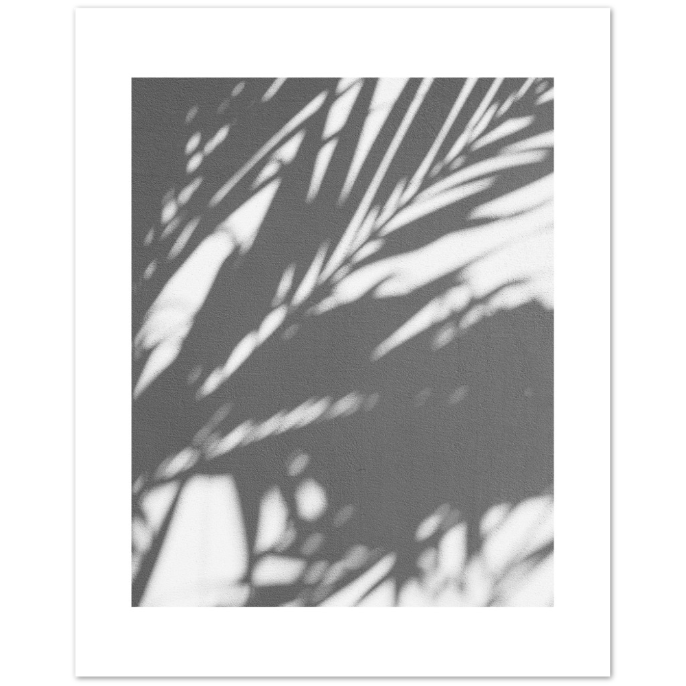 PALM SHADOW