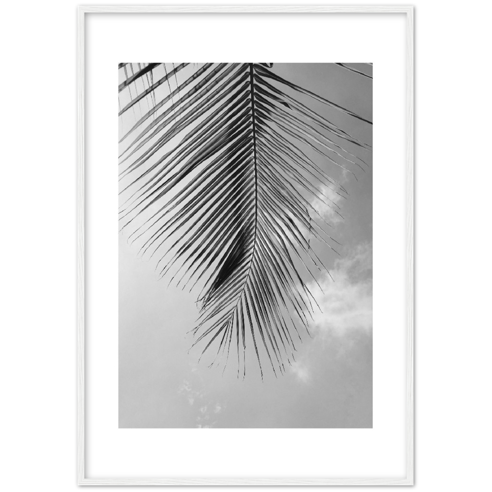 PALM CLOUD