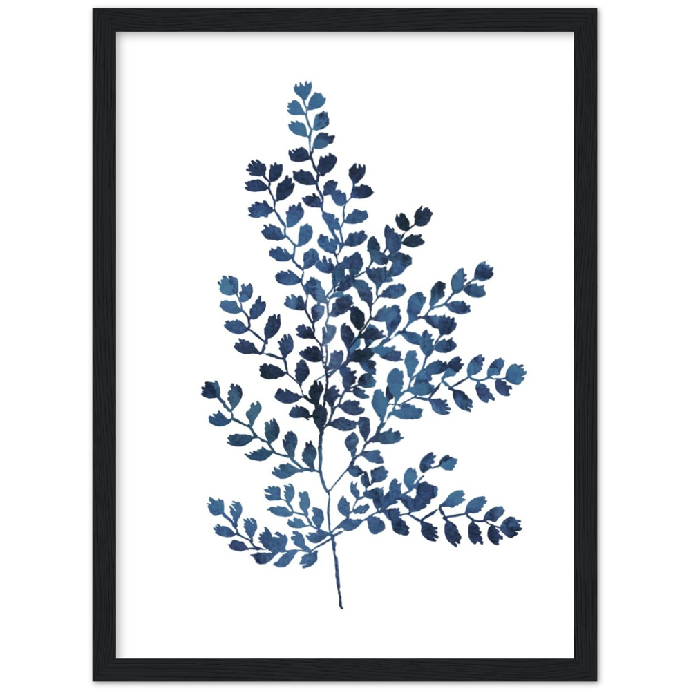 BLUE FERN II