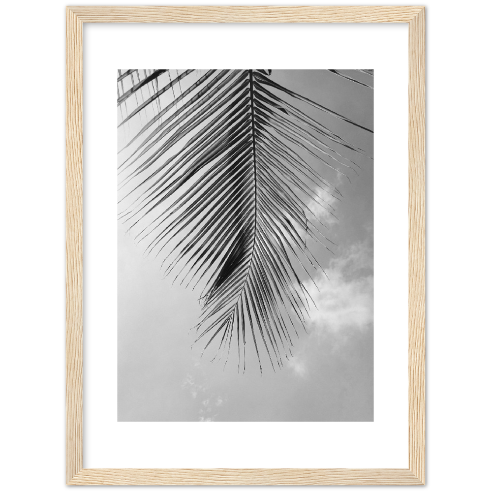 PALM CLOUD