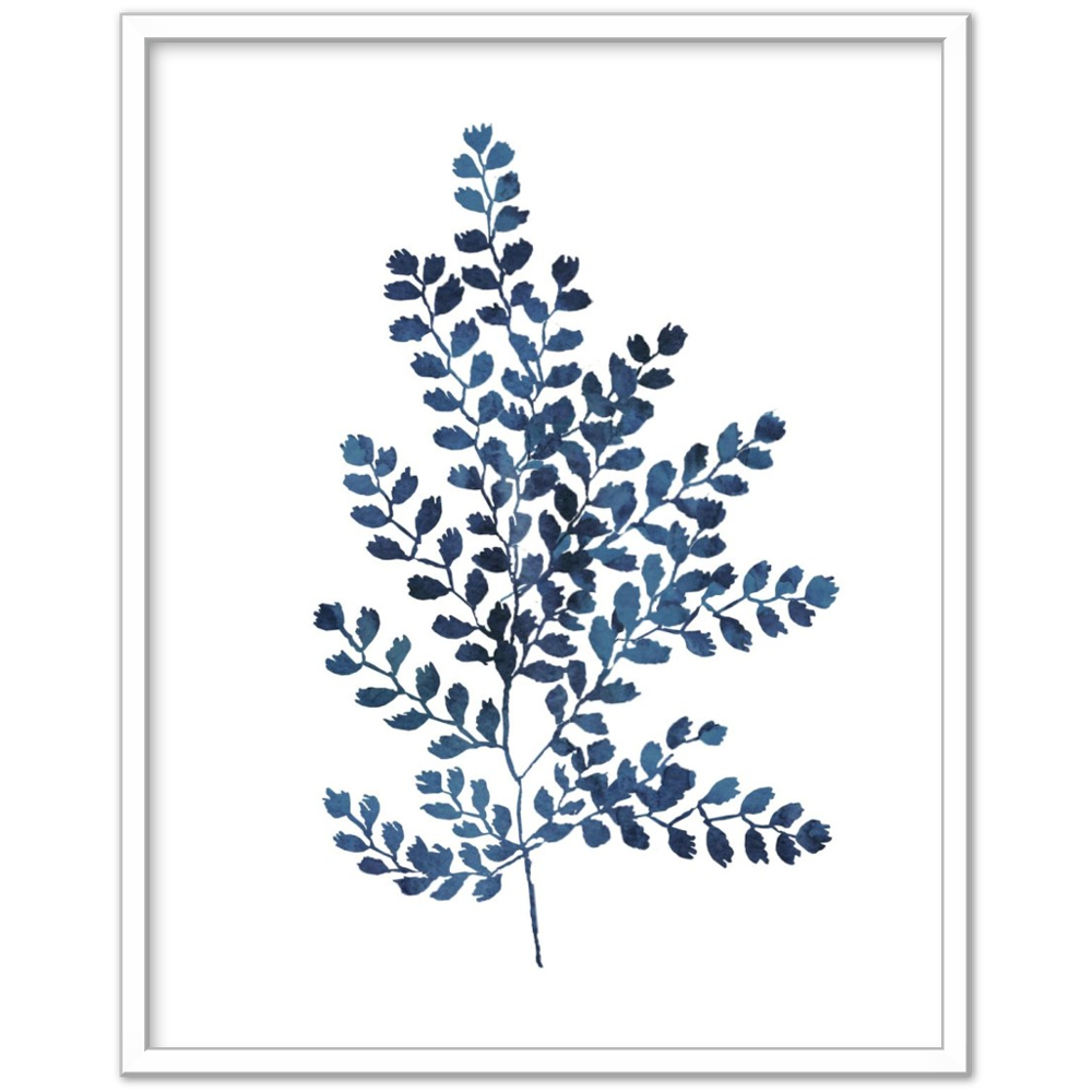 BLUE FERN II