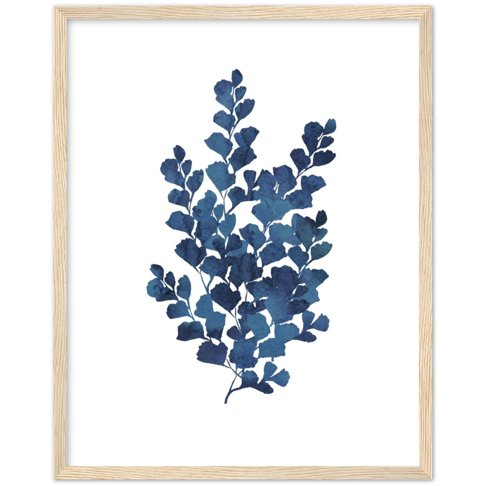 BLUE FERN IV