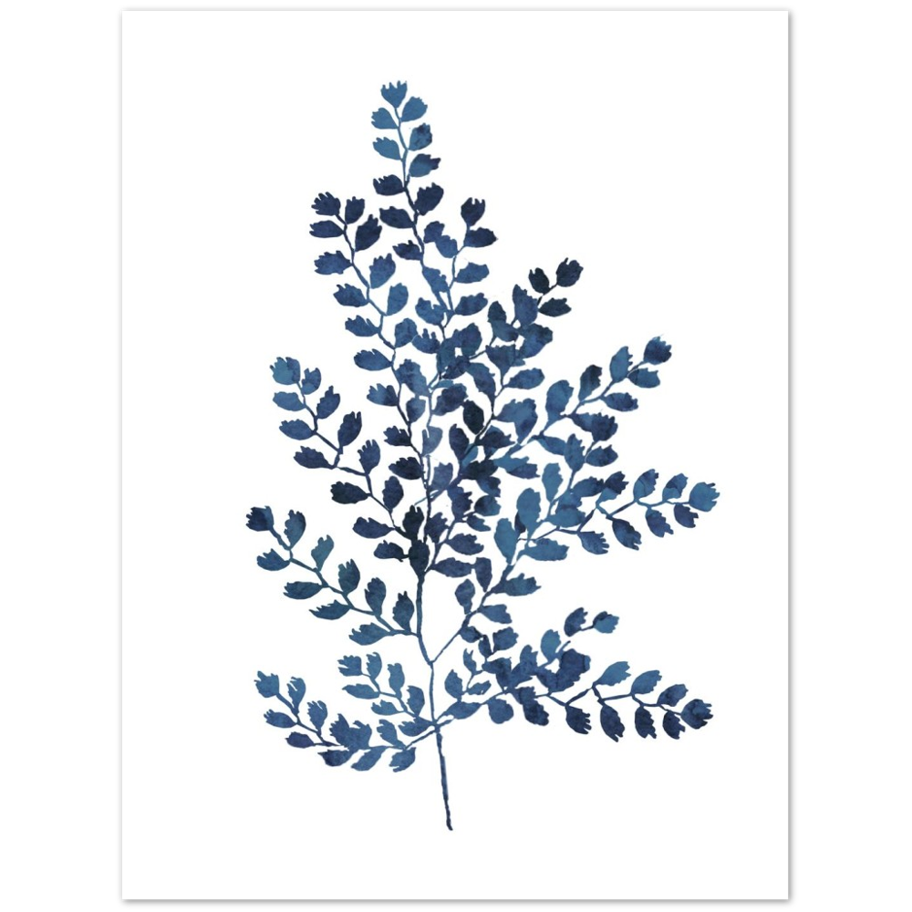 BLUE FERN II